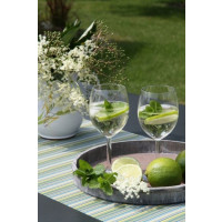 Mentha spicata 'Hugo' BIO / Koktejlová máta, K12