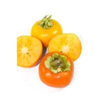 Diospyros kaki ´Cangzhou´ / Tomel japonský / Hurmi kaki, 60-80 cm, C5