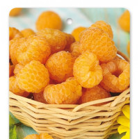 Rubus idaeus ´Jantar´ / Maliník žlutý, C1