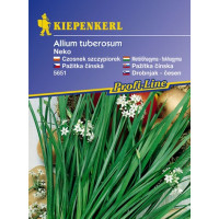 Allium tuberosum / Pažitka čínská Neko, bal. na 100 r.