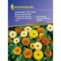 Calendula Fiesta Gitana, bal. na ca. 60 r.