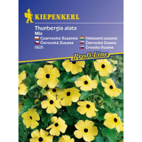 Thunbergia směs, bal. na 20 r.