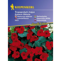 Tropaeolum Ks. Viktoria, bal. na 15 r.