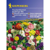Suché květiny směs, bal. na 50 r.