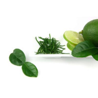 BIO Citrus hystrix / Thajská limetka, 20 cm, K12