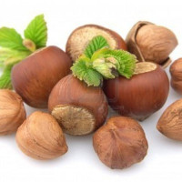 Corylus avellana ´Lombardská bílá´ / Líska, keř