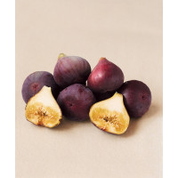 Ficus carica ´Brown Turkey´ / Černoplodý fíkovník, 60-80 cm, C2