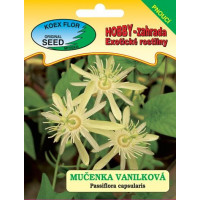 Passiflora capsularis / Mučenka vanilková, bal. 8 s.