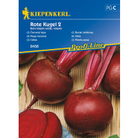 Červená řepa Rote Kugel 2, bal. 100 sem.