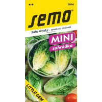 Salát hlávkový LITTLE GEM, římský, polný, bal. 0,6 g