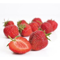 Fragaria ananassa ´Senga Sengana´ / Jahoda poloraná, bal. 10 ks, VK