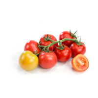 Rajčata ´Campos® F1 (Sportivo)´, přirozeně rezistentní, roubovaná rostlina, K12