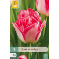 Tulipa ´Pink Delight´ / Tulipán, bal. 7 ks, 11/12
