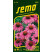 Echinacea purpurea / Třapatka nachová ´PURPUROVÁ´, bal. 1 g