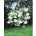 Begonia pendula ´White´ / Begónie převislá bílá, bal. 3 ks, 4/5