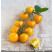 Rajče cherry Solena® Yellow F1, přirozeně rezistentní, roubovaná rostlina, K12