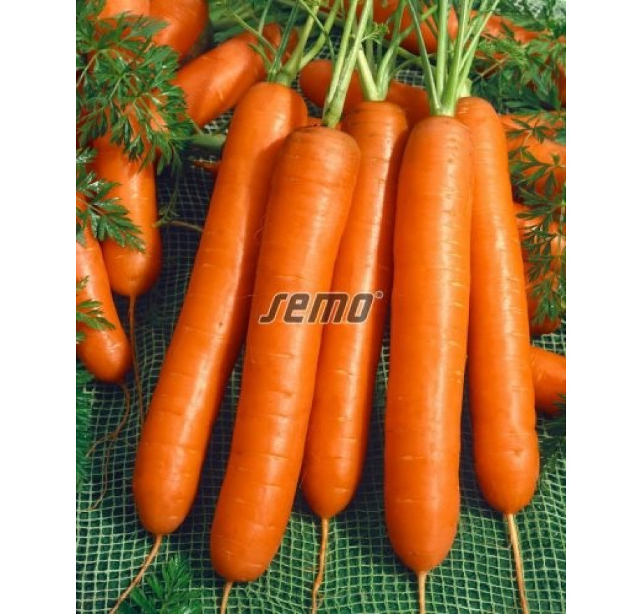 Mrkev karotka velmi raná CARAVEL F1, bal. 0,7 g