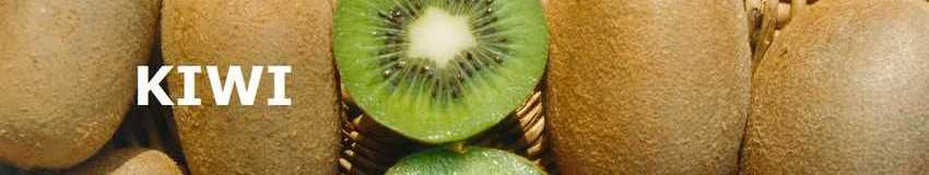 kiwi