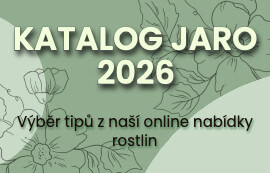 Katalog Rostlinky.cz Katalog Rostlinky.cz