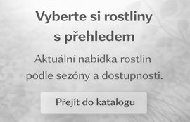 V&yacute;běr z katalogu