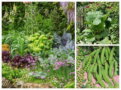 Ekozahrada - pěstujte zeleninu zdravým způsobem
