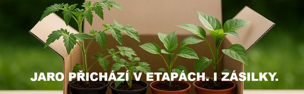 Jaro přichází po etapách Zahradník odpočívá při sázení